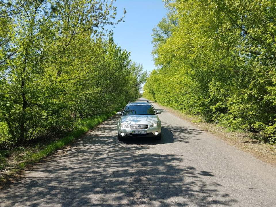 Покатушки, Самарський ліс 5