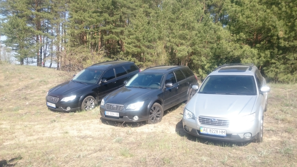 Ліс у трьох кольорах 4