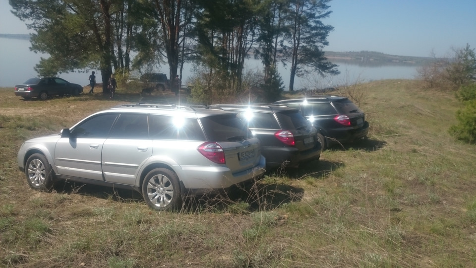 Ліс у трьох кольорах 3