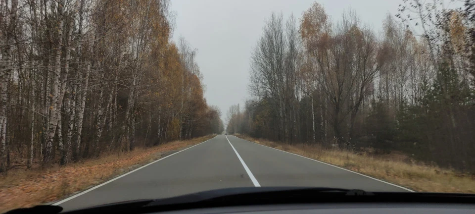 Осінні покотушки