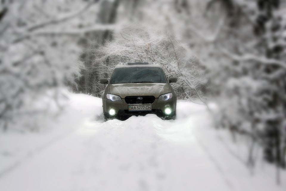 Зимовий фотосетик -20°C 3
