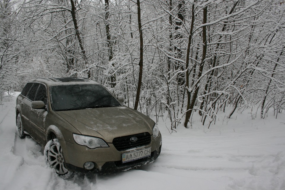 Зимовий фотосетик -20°C 4