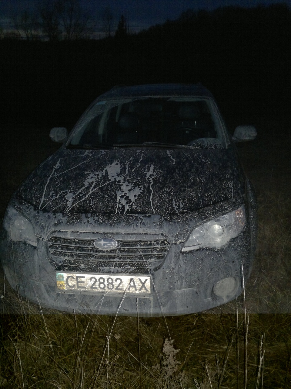 Патріківський розпис болотом на Бритві ) 4