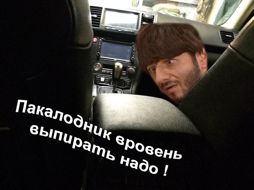 Пакалодник врівень випирати треба! 4
