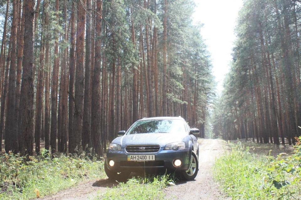 На вулиці зима -17 5
