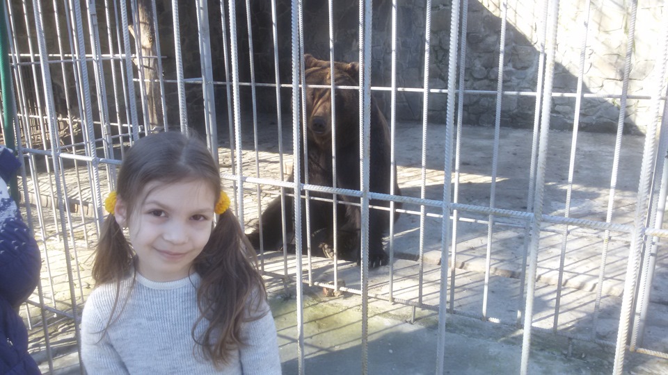 8 Березня в Карпатах 4