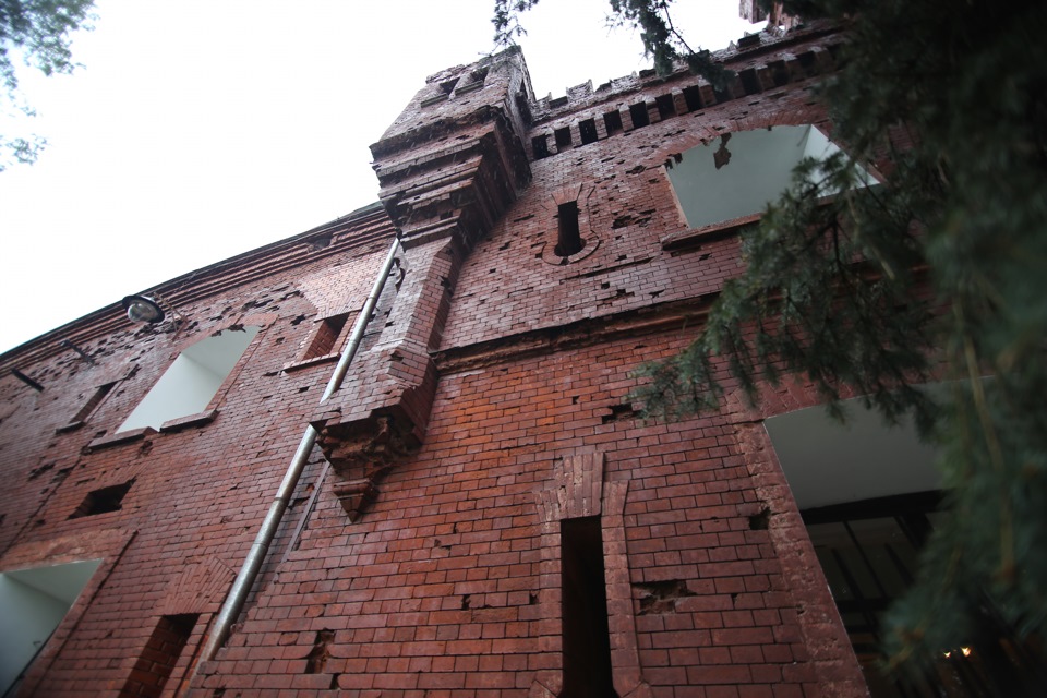 Травнева подорож країною контрастів. 4