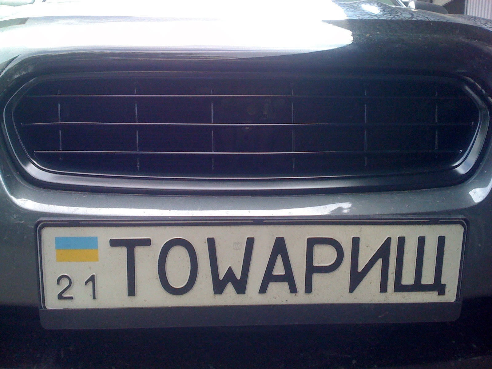 Спостерігаю ґрати. Мій вірний Тоwарищ 5