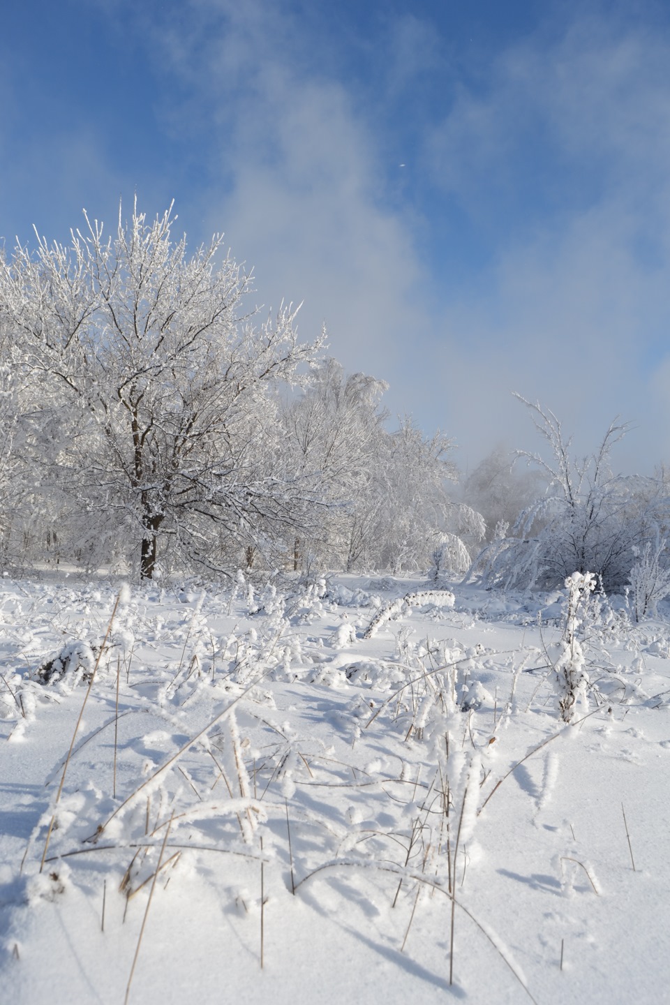 Фотографії з полювання 5