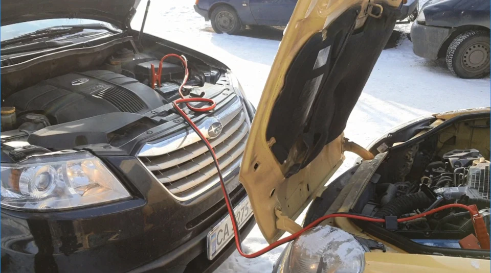Subaru спасает кенгуренка в мороз)