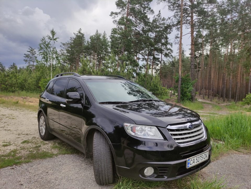 Трибека продана 2