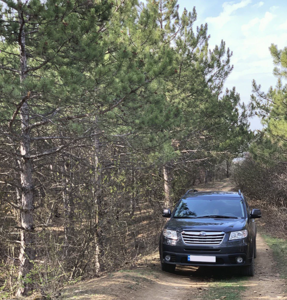 Самоізолюйтеся сказали вони - ок, відповіли субаристи