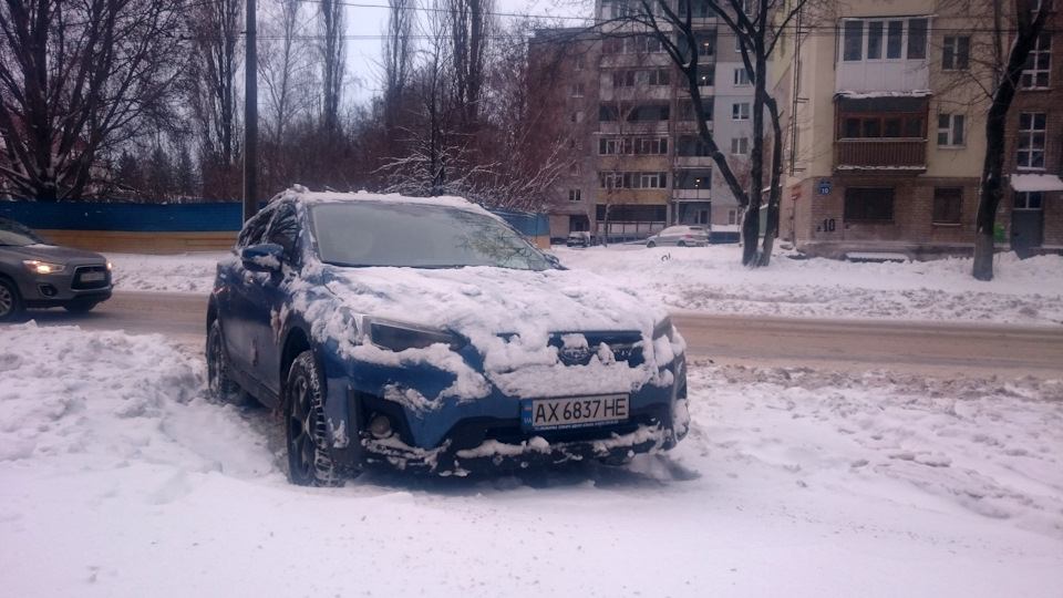 Сніг випав 4