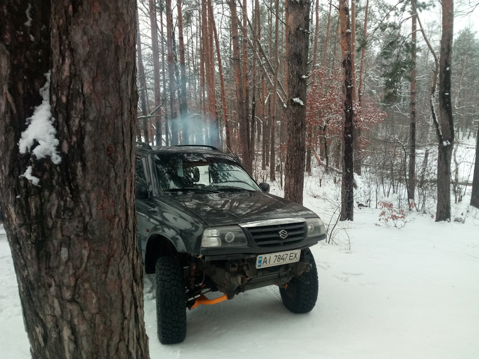 Вилазка до лісу 5