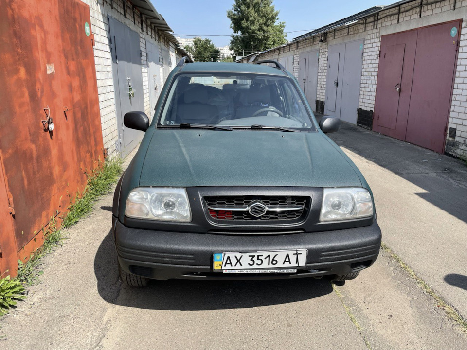 Рекс перейшов у нові дбайливі руки 4