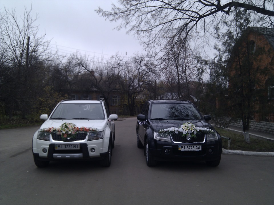 Весілля ластівок 3