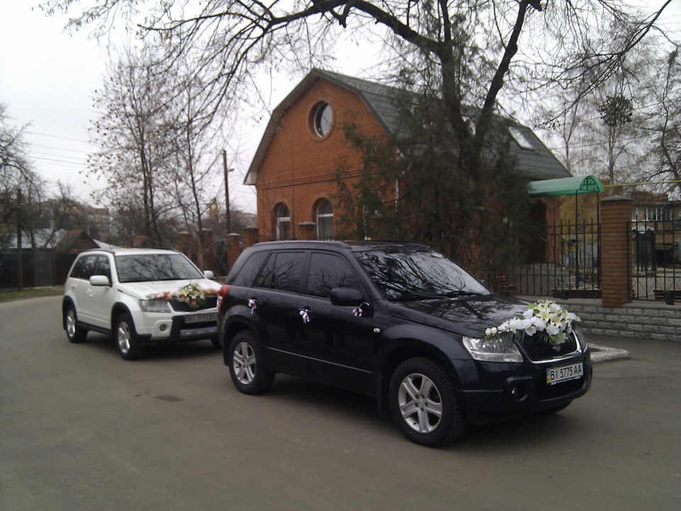 Весілля ластівок 1