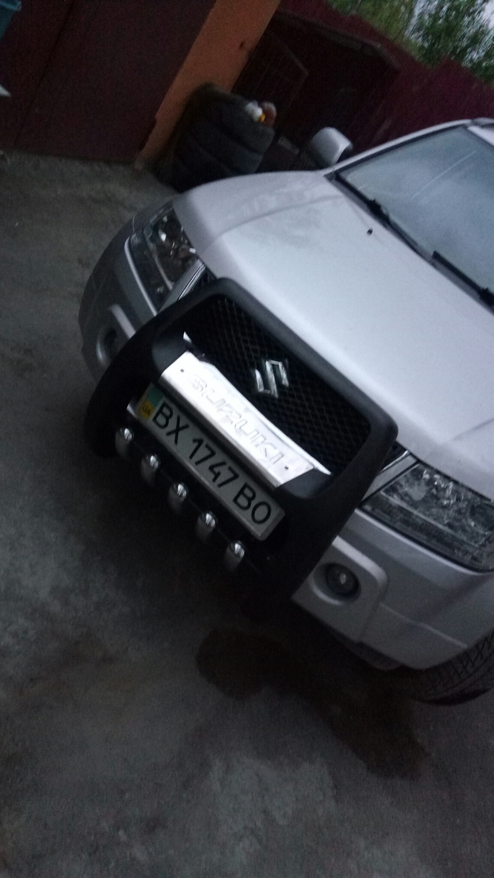 Кенгурятнік ;) 3