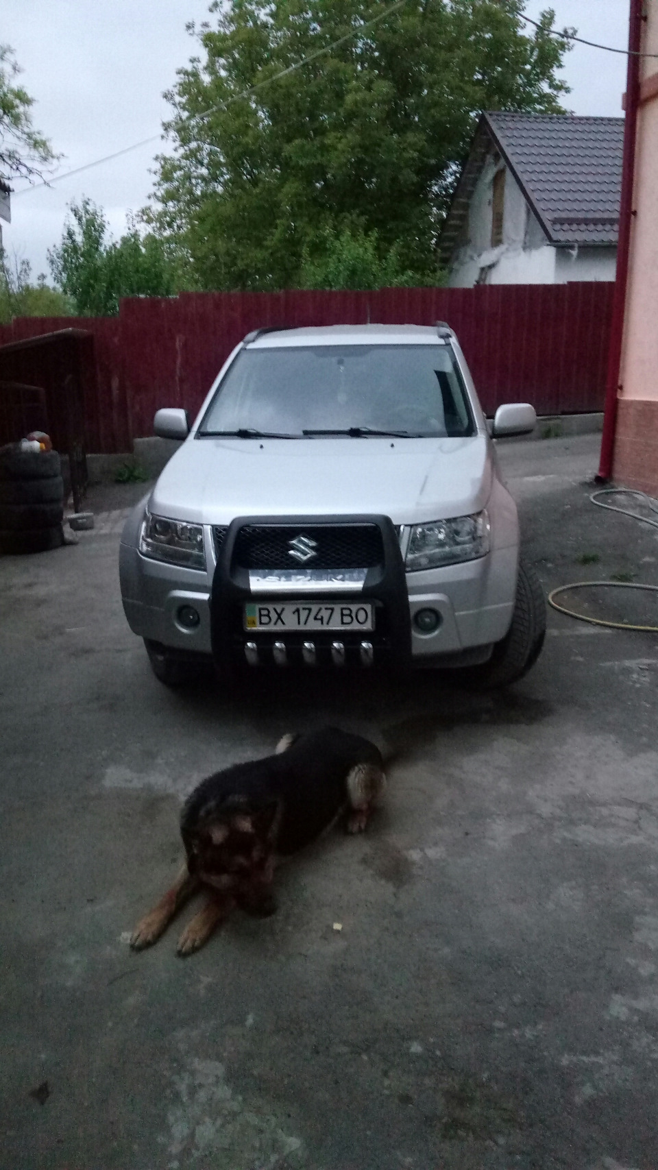 Кенгурятнік ;) 2