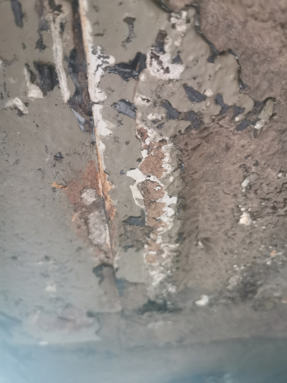 Антикор. Любителям мастики присвячується... 5