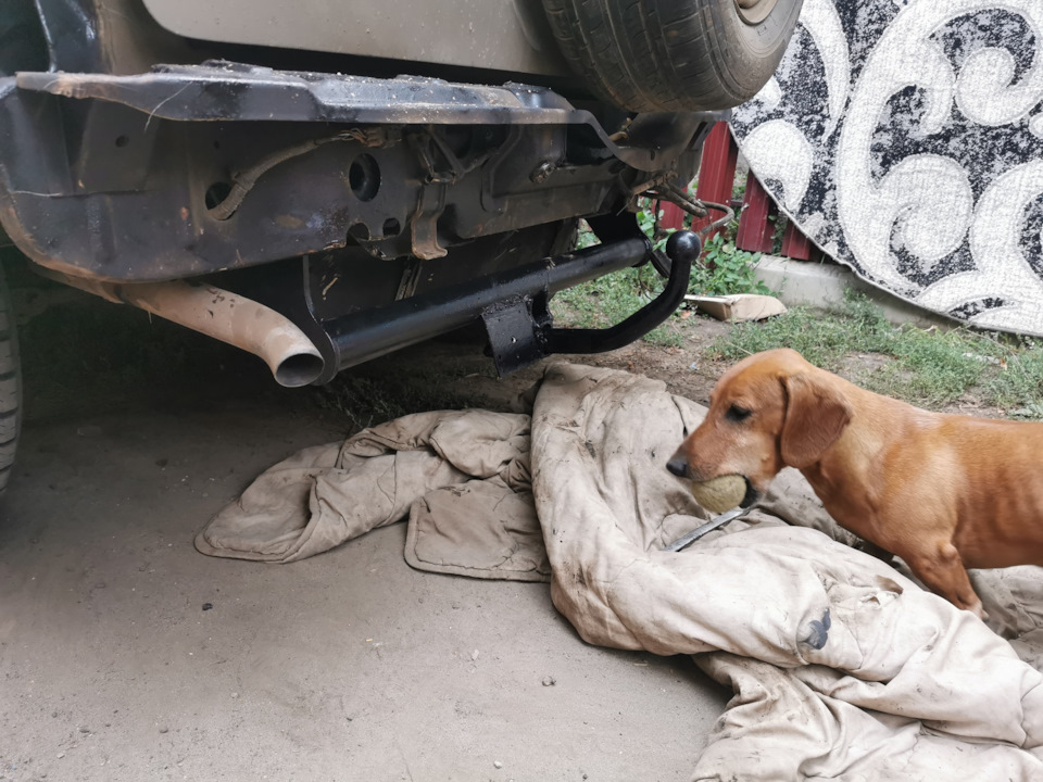 Причал для ротозеїв 5