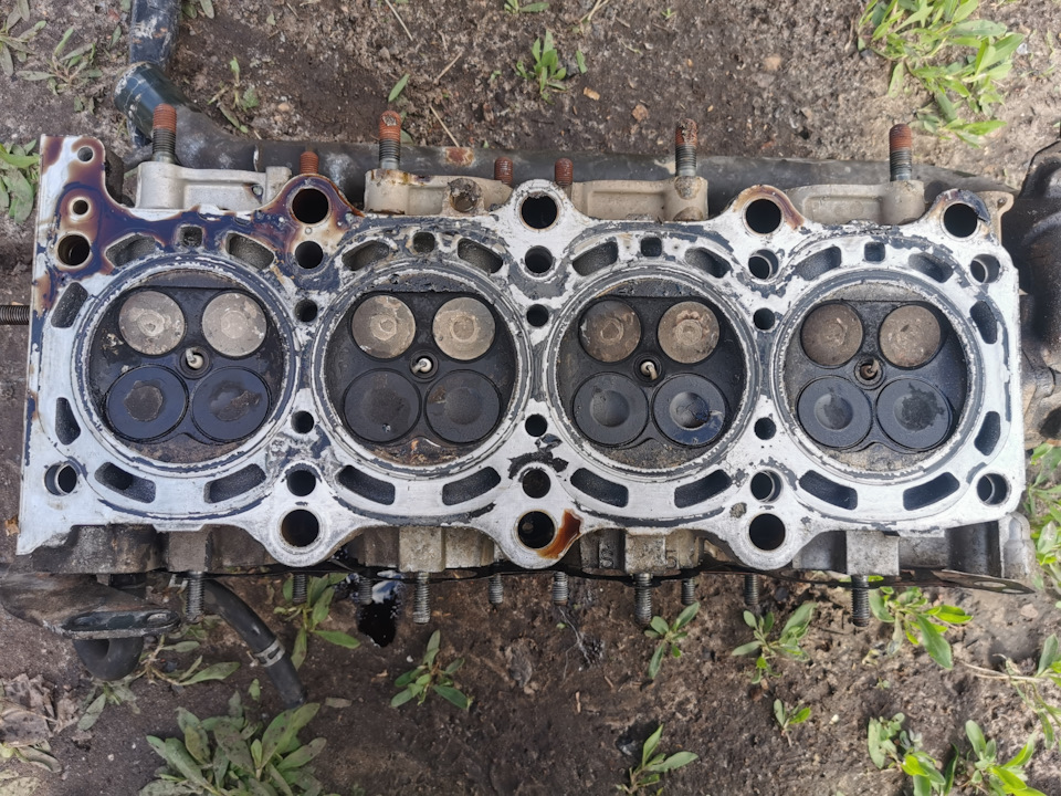 Розтин показало… 1