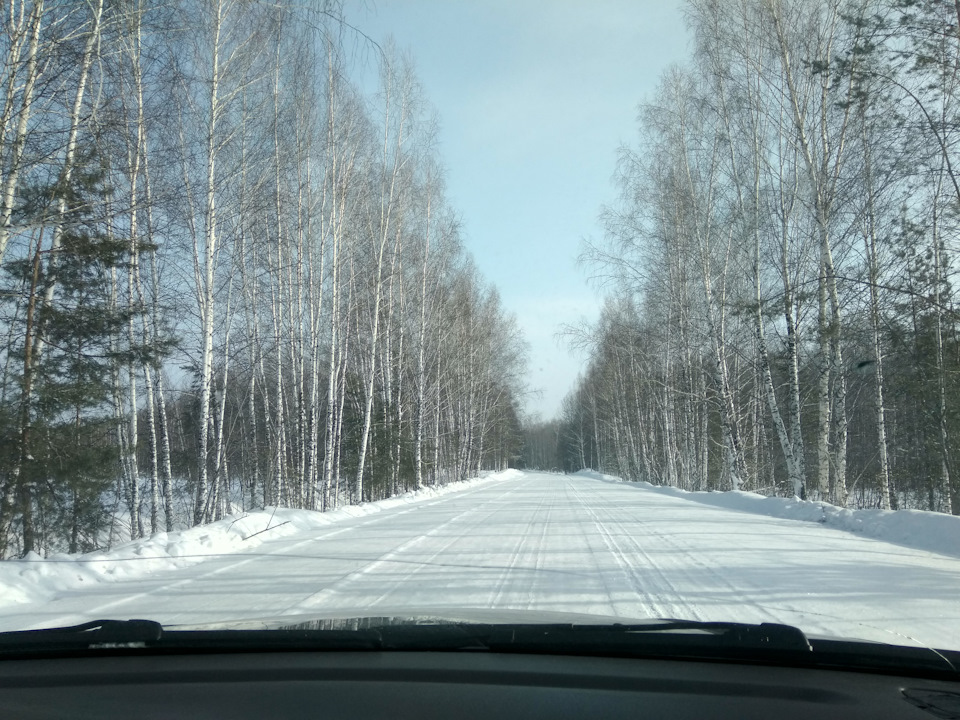 Вставай на лижі! 4