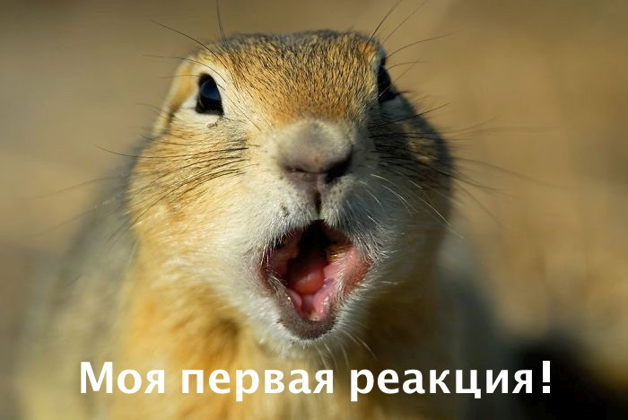 Повне полірування кузова 1