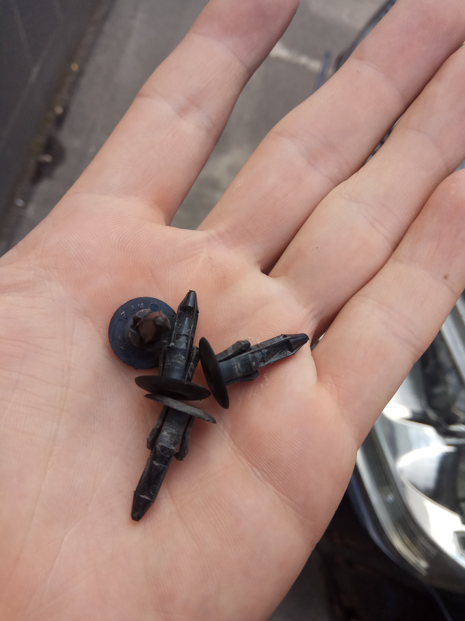 Заглянем под жабо 3
