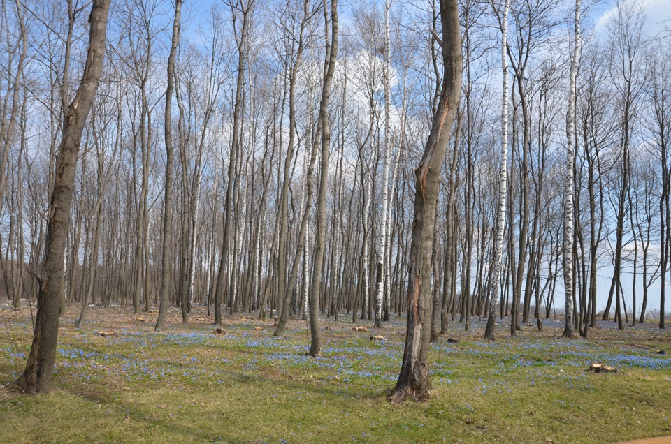 Прогулянка вихідного дня або 13.04.13 2