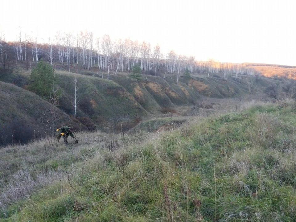 Захід сонця після покапушок)