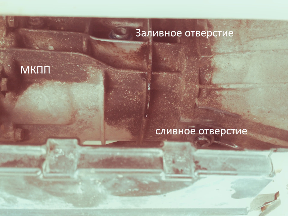 Гінекологічна заміна мастила в МКПП 1
