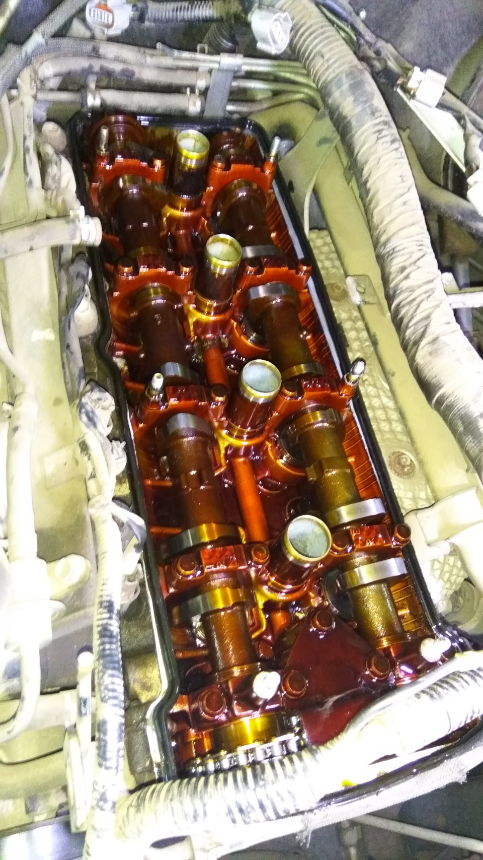 Перехід на Motul 5w-30 та заміна прокладки клапанної кришки 5