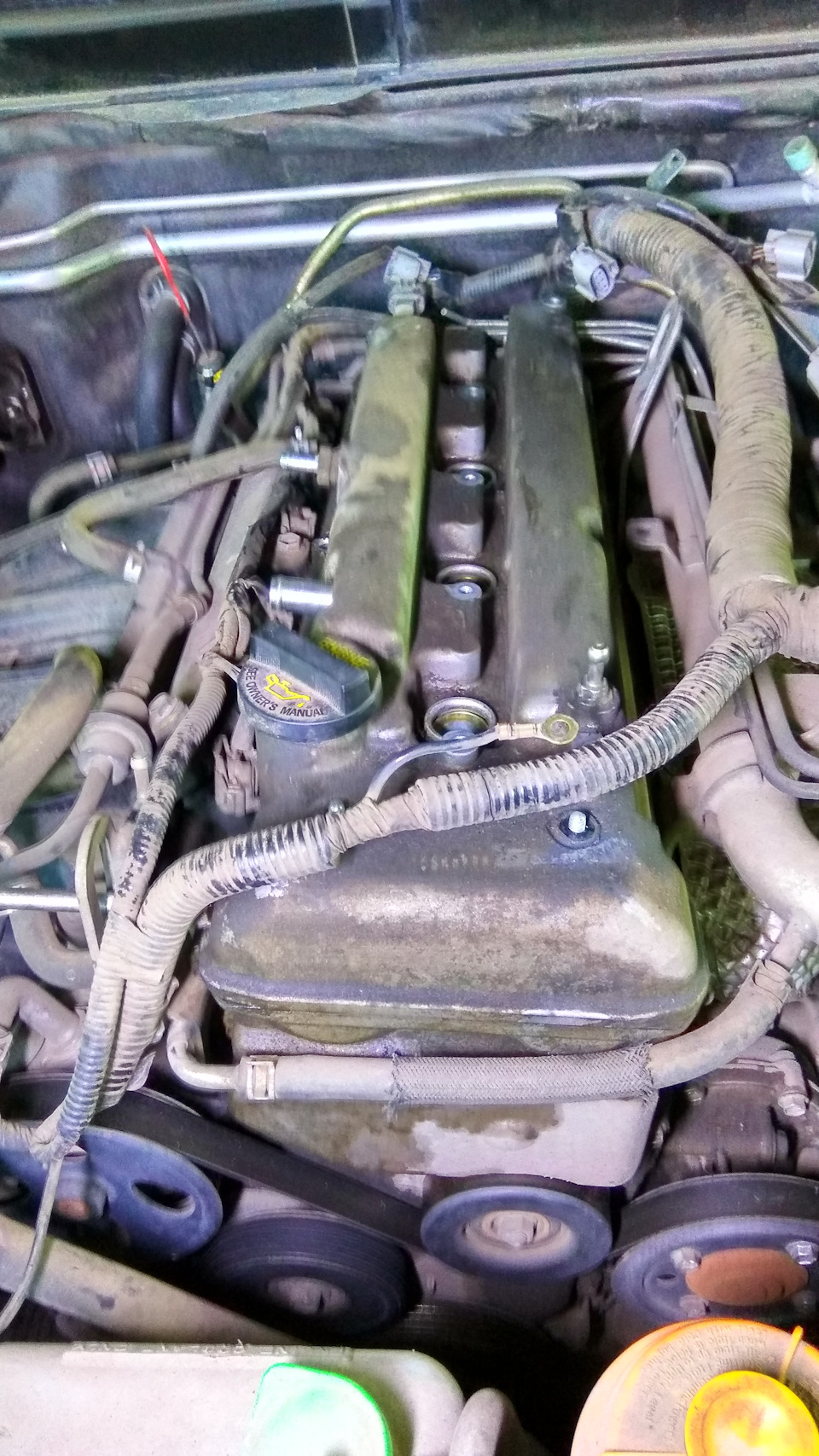 Перехід на Motul 5w-30 та заміна прокладки клапанної кришки 2