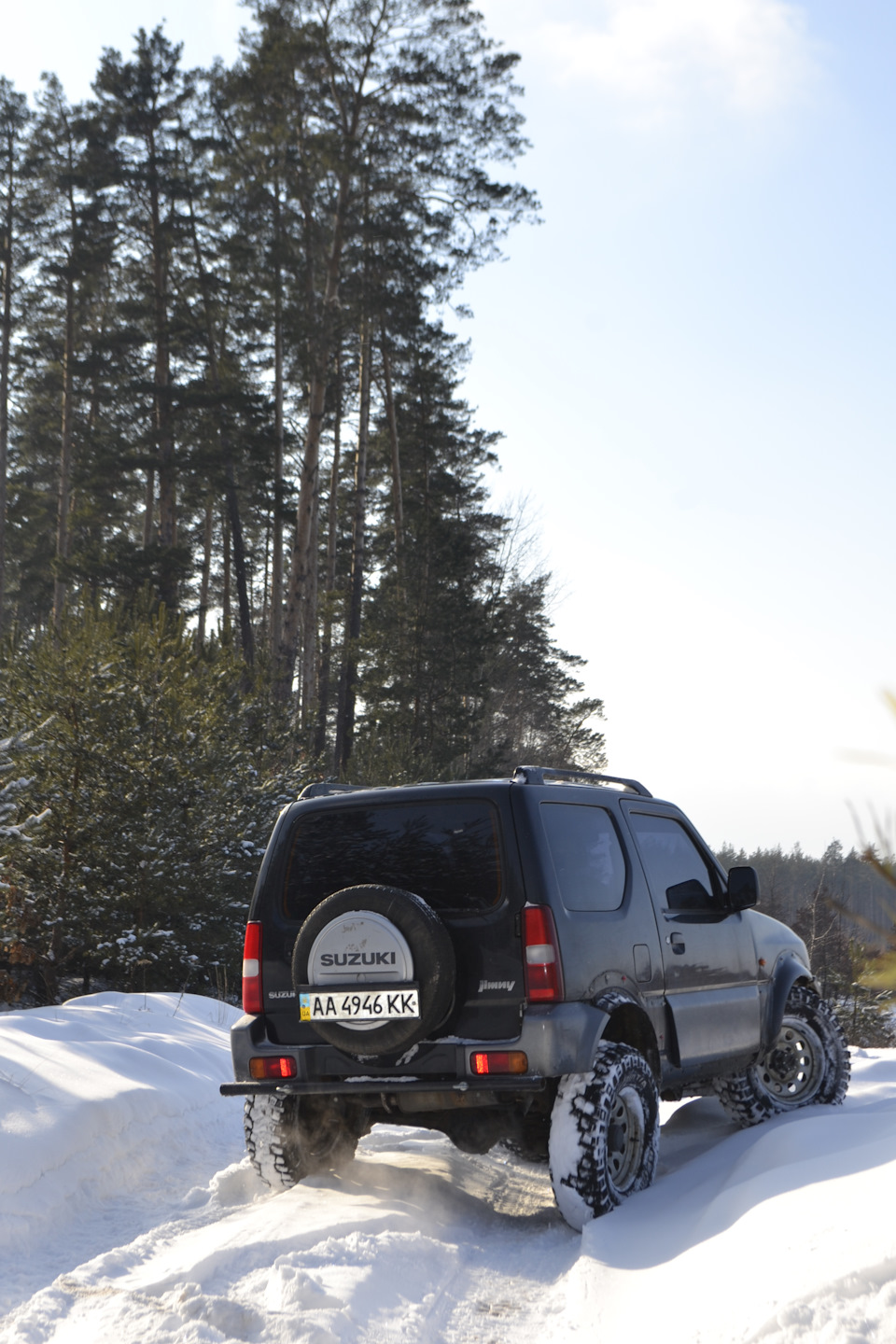 Сніговий ліс 3