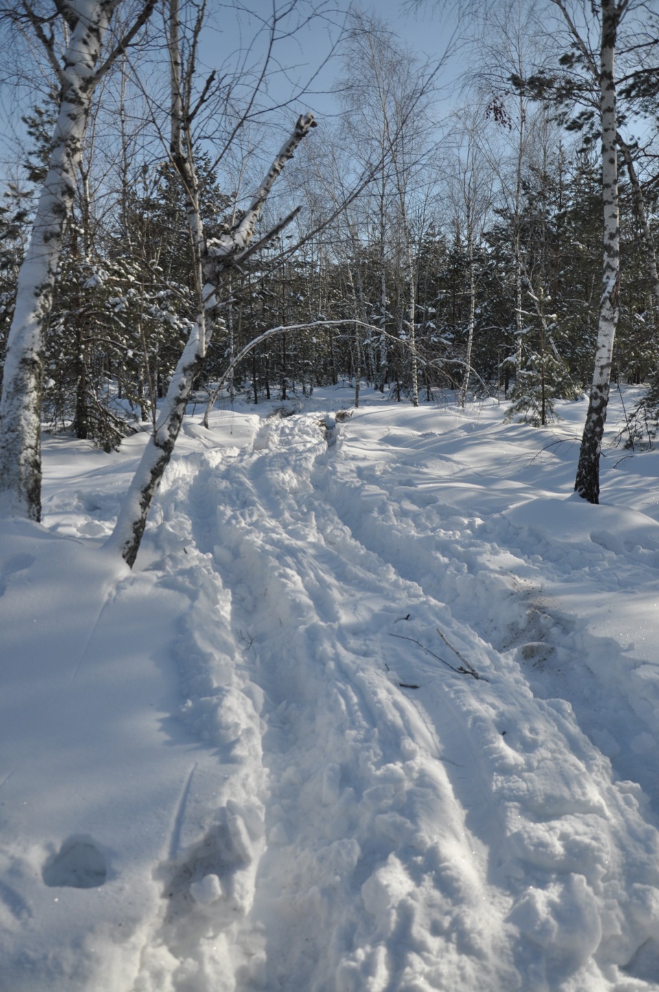 Відмінно покаталися. 5