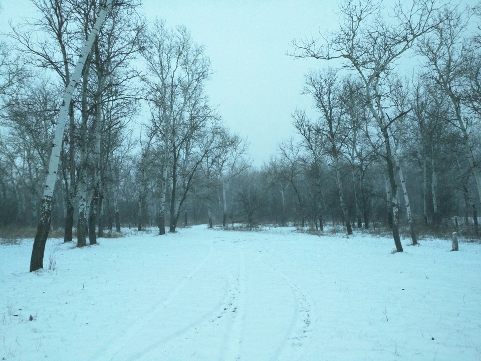 Запис від 7 січня 19:29 4