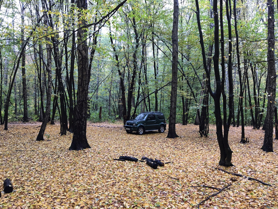 Осінній ліс. 4