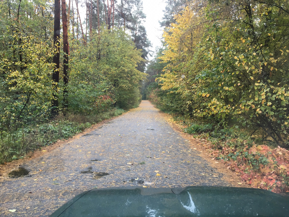 Осінній ліс. 3