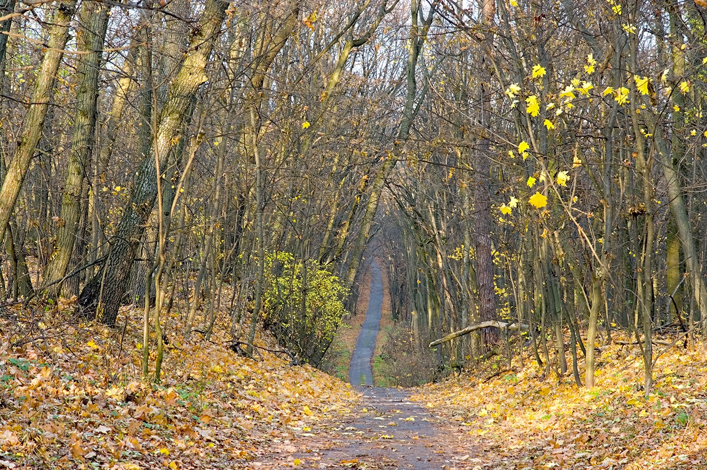 Дорога через осінь. 2