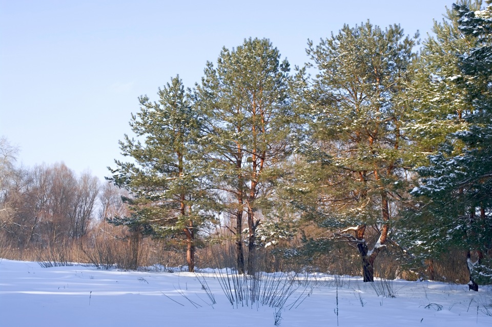 Льодовиковий період 5