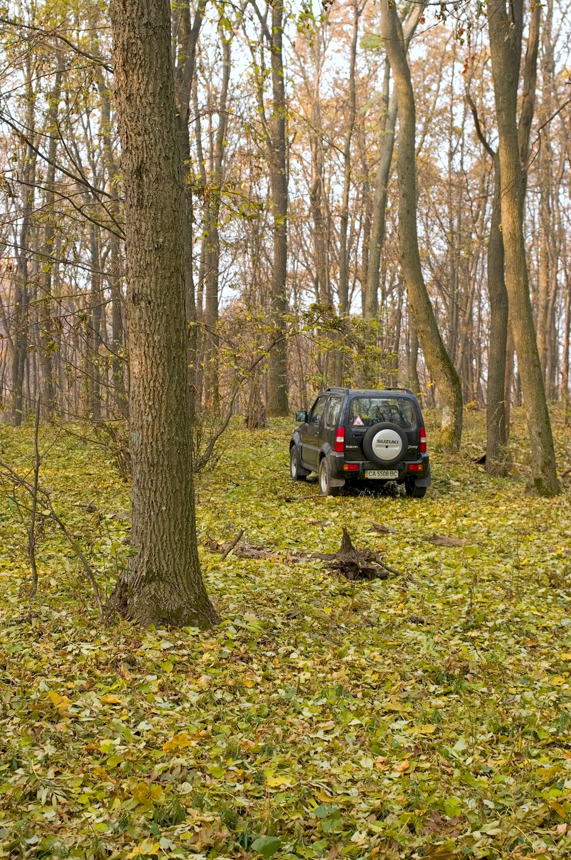 Міжсезоння. 3
