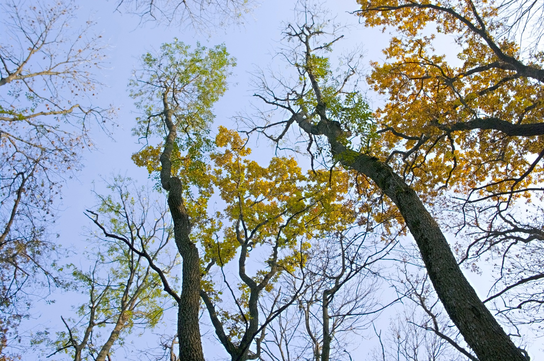 Міжсезоння. 1