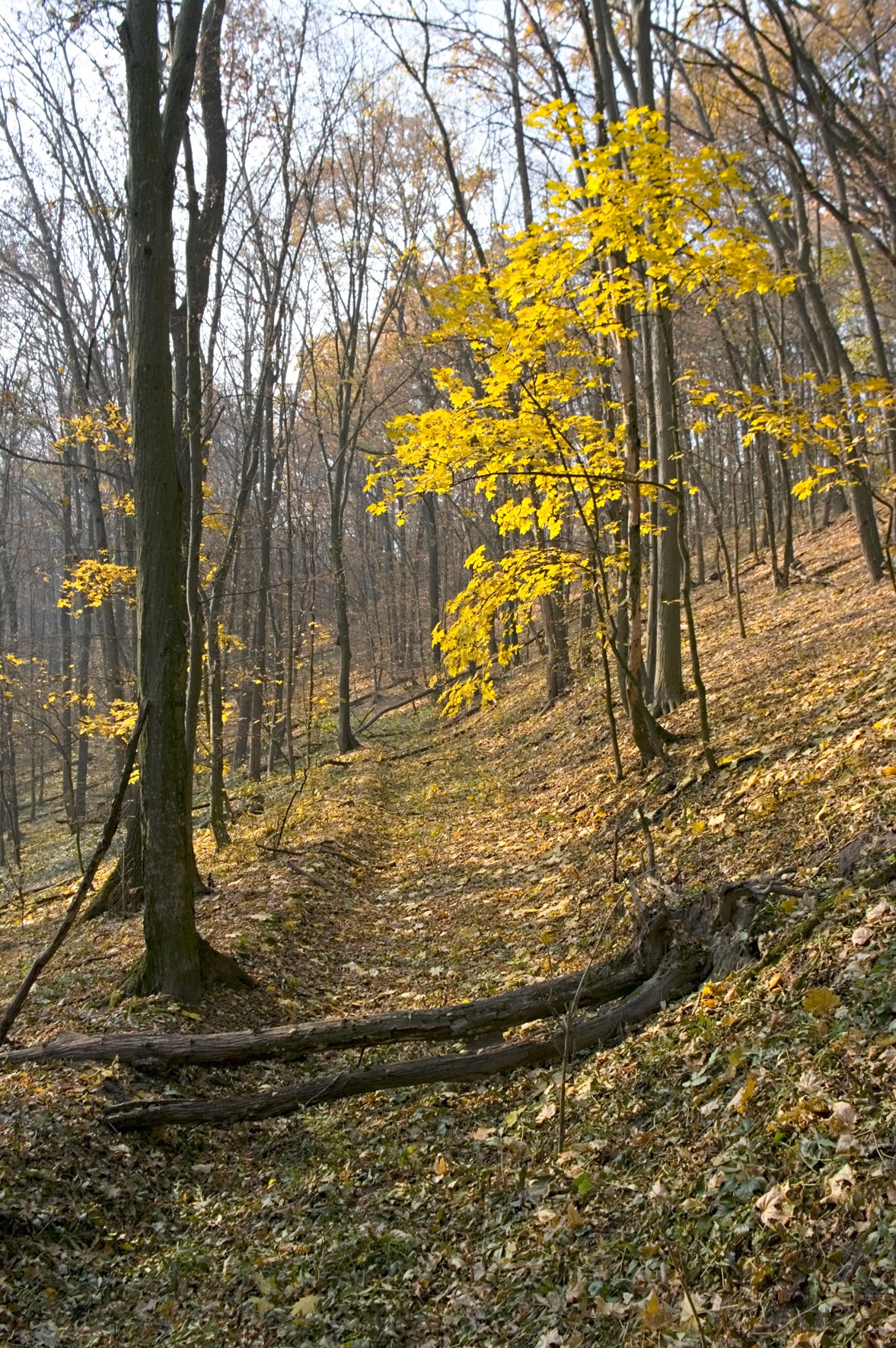 Міжсезоння. 5