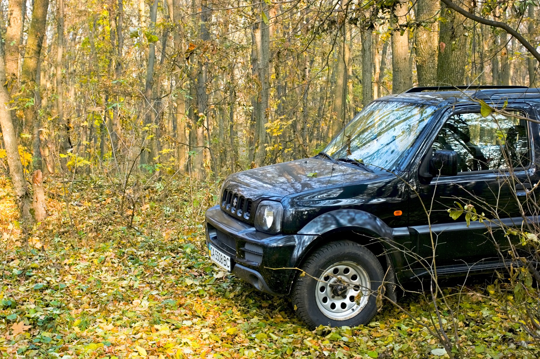 Міжсезоння. 4