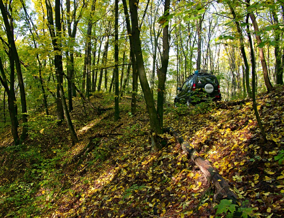 Осінні марафони... 1