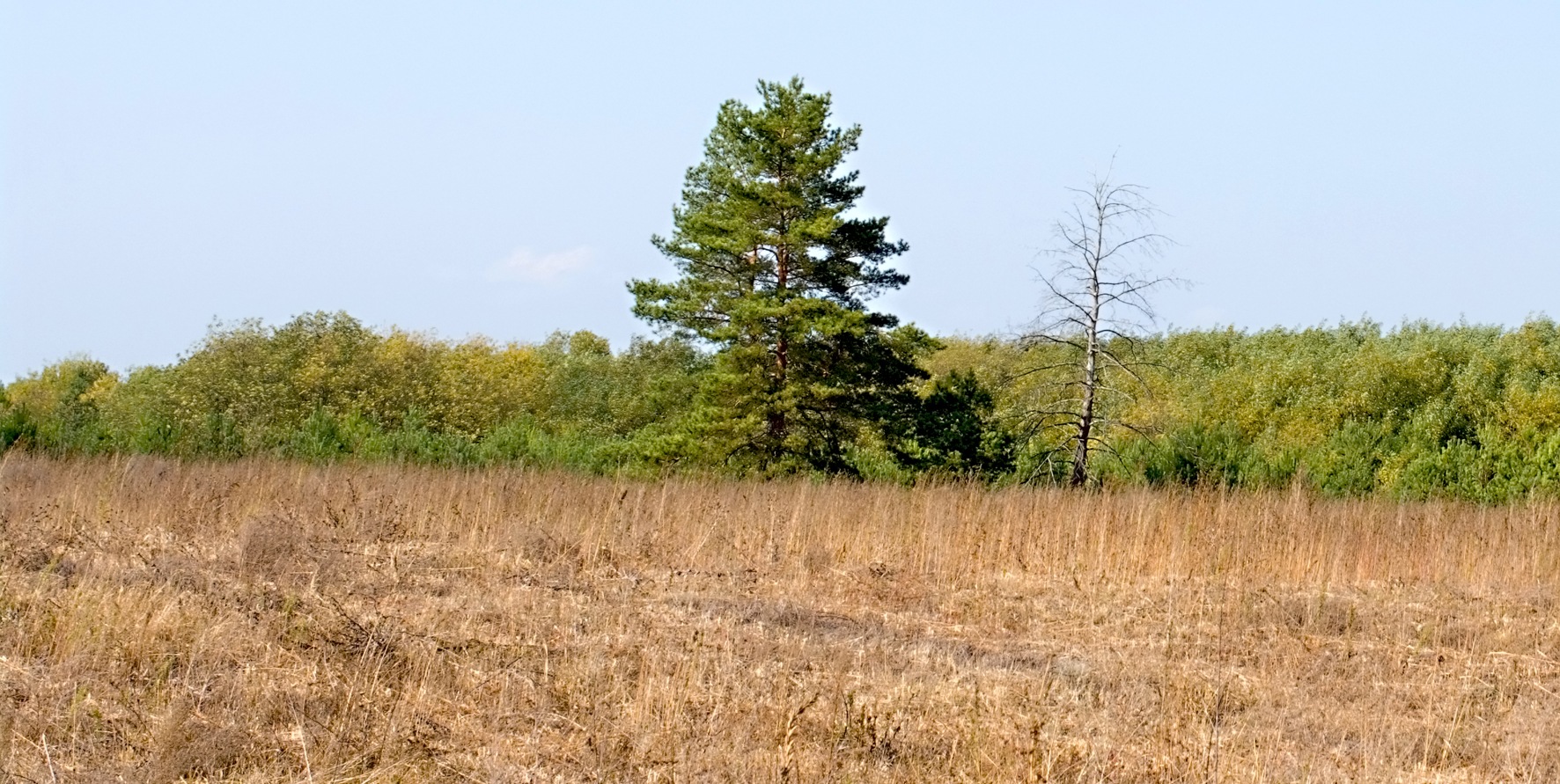 Осінні зустрічі. 2