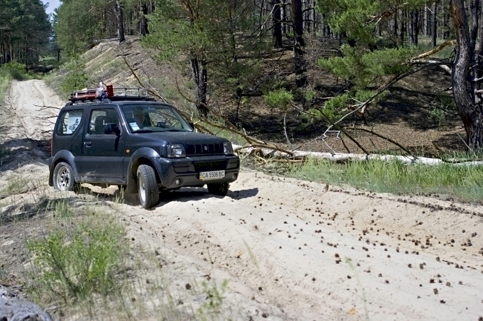 Перші гриби та перше гребі 2012 року. 2