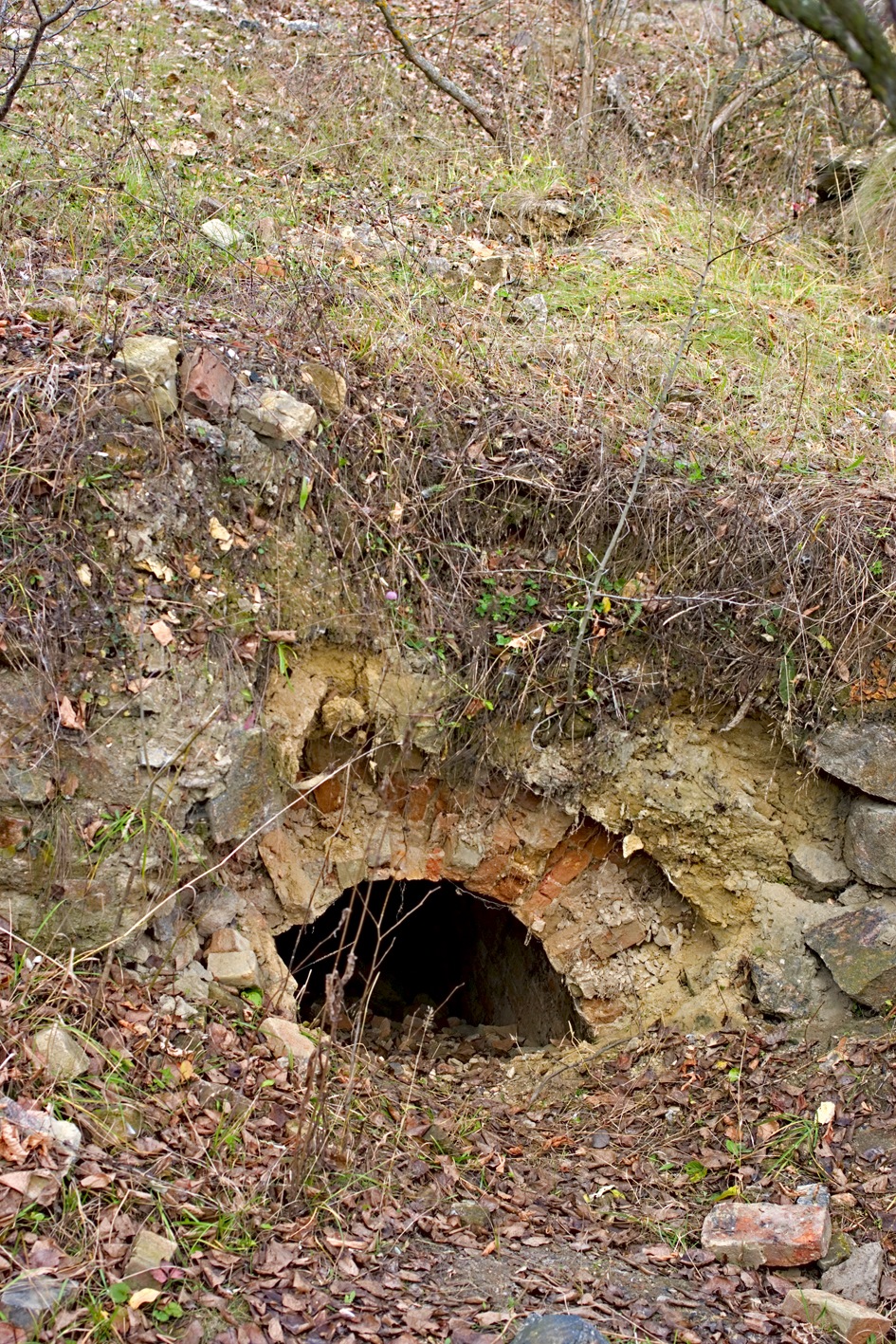 Загадки та відгадки. 3