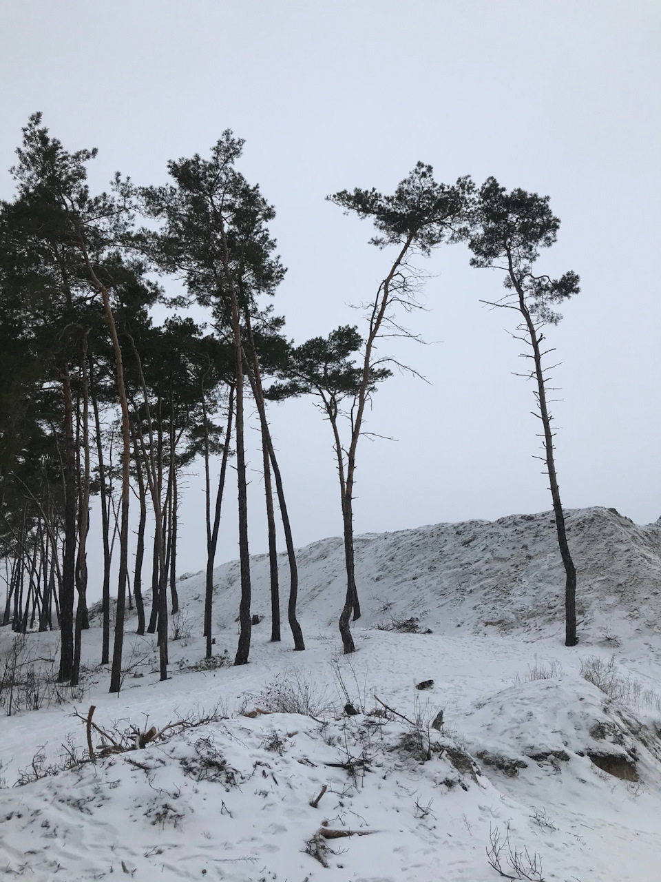 Перша зустріч Jimny Club UA Харків🥳 4
